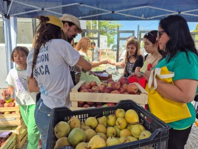 Frutazo: la UNCo celebra la gratuidad universitaria con manzanas y peras a $1000