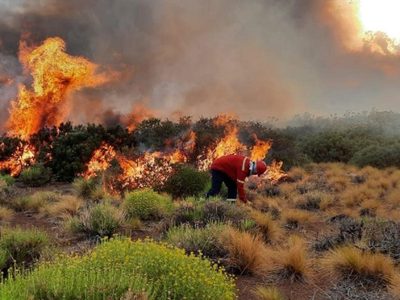 No pueden controlar el incendio en Loncopué