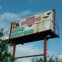 "Pescorea": el boom industrial y cultural que llegó junto con miles de coreanos a Nuevo León