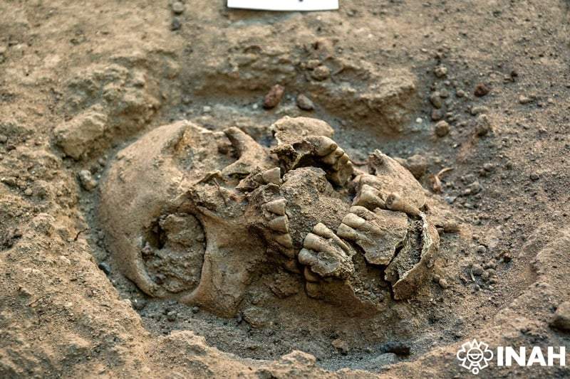 Descubrimiento de un cementerio