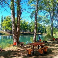 Un paraíso sobre el Limay: la isla perfecta para pasar el verano cerca de Neuquén y el Alto Valle