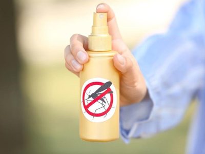Con estas plantas que tenés en tu jardín, creá el repelente casero de mosquitos más eficiente y económico