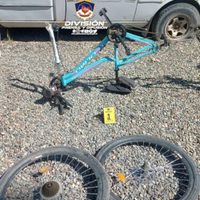 Robaron en una casa, escaparon en una camioneta robada y uno terminó preso