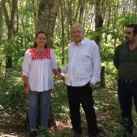 Con programa agroforestal nadie tendrá que migrar por falta de apoyo: AMLO en Chiapas (Video)