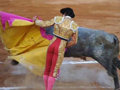 Suspenden por tiempo indefinido corridas de toros en la CDMX