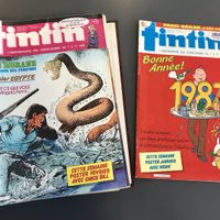 Queman en Canadá casi 5 mil cómics y libros por "mostrar prejuicios contra los indígenas"