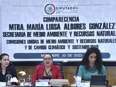 Tren Maya enfrenta a la titular de Semarnat y diputados