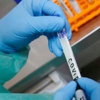 Se volvieron a disparar notoriamente los casos positivos de coronavirus en Zapala