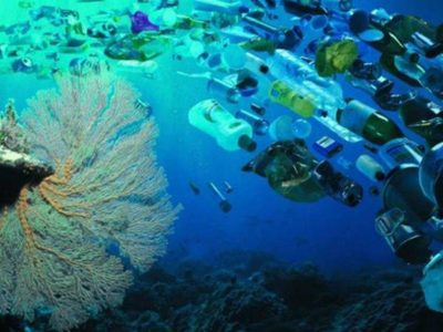 Plásticos: Impacto devastador en el planeta