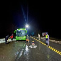 Detuvieron a una mujer que transportaba drogas en un colectivo en Villa La Angostura