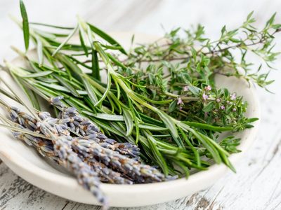 No gastes en repelentes: 3 plantas que ahuyentan plagas en tu huerta de forma natural