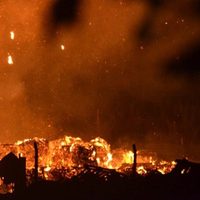 Explosión e incendio: se prendió fuego una papelera de Cipolletti