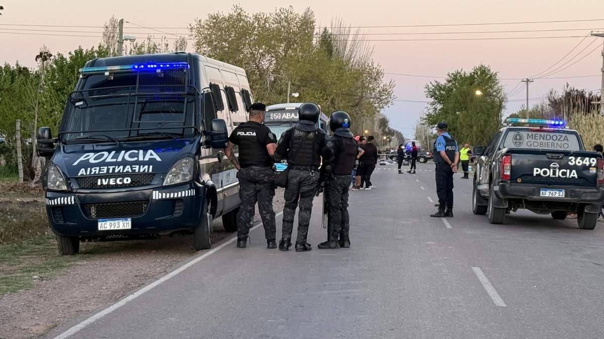 Dos niños de 7 y 10 años murieron tras ser atropellados en Las Heras