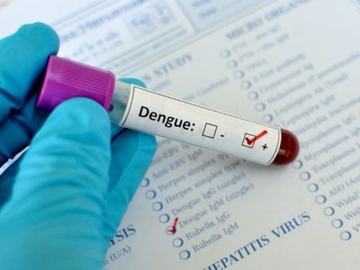Aumentaron los casos de dengue en Santa Fe y crece el temor a nivel nacional