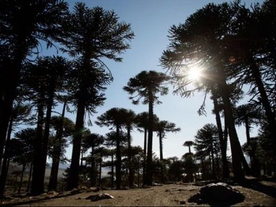 Caviahue-Copahue es el pueblo más lindo del mundo elegido por la Organización Mundial de Turismo