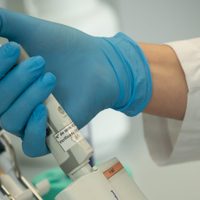 Neuquén: empezará a aplicarse otra terapia contra el coronavirus