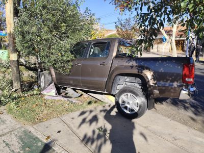 Robó dos veces y durante la huida chocó contra un árbol