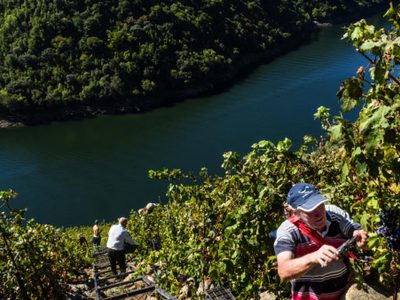 Vinos heroicos: un concurso premia producciones de lugares extremos