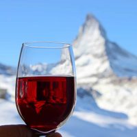 Llega la edición online de Vinos de la Patagonia