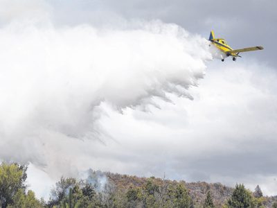 Cuesta del Ternero: los dos focos activos provocaron incendios secundarios que son controlados