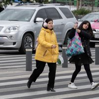 Doble alerta por frío intenso y heladas en CDMX: atención en estas 12 alcaldías