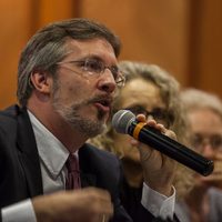 PAN, PRI, PRD y MC impugnarán designación de Ackerman para evaluar a aspirantes del INE