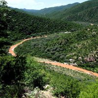 Sonora: cuatro años de maldición minera