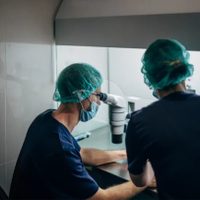 Las 5 cosas que hay que saber acerca de la fertilidad