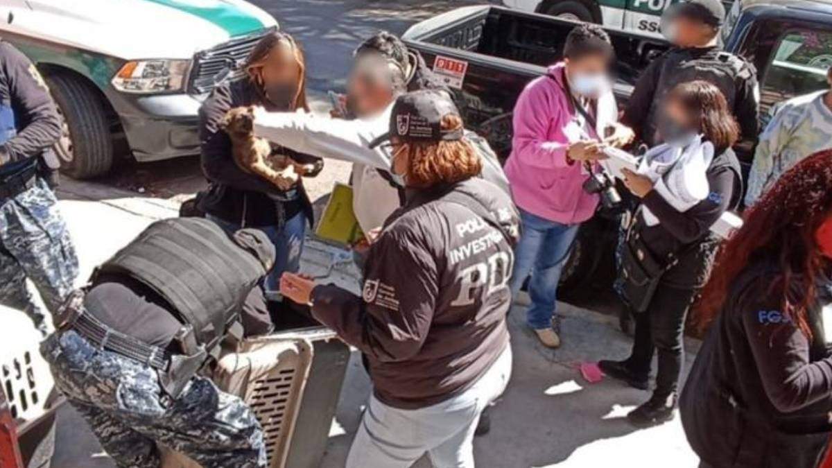Operativo en el domicilio donde estaban los canes