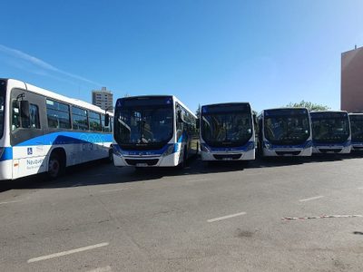 La municipalidad de Neuquén detalló cómo funcionarán los colectivos gratuitos para la Confluencia