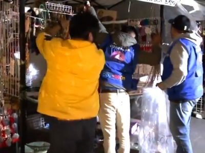 Gobierno de Coyoacán retira carpas de comerciantes del Jardín Hidalgo