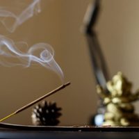 Te encantará esta idea para preparar sahumerios en casa y no tener que comprar