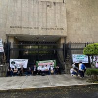 Llegó el juego del tapado... pero con la Reforma Electoral