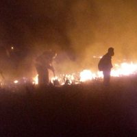 En Jalisco, activan Alerta Atmosférica por incendio en Bosque La Primavera (Videos)