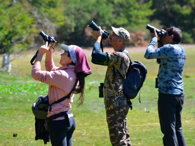 Turismo de naturaleza: recorridos para hacer trekking y avistaje de aves