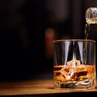 Crean red para impulsar la participación de jóvenes en políticas públicas sobre consumo de alcohol
