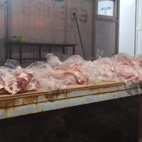 Detuvieron un rodado que transportaba 600 kilos de carne con hueso que iba a Rincón de los Sauces