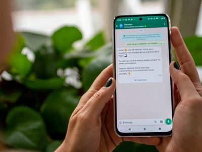 Buscan implementar un chatbot en Neuquén para la atención ciudadana