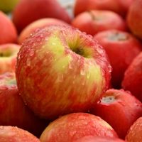 Con pocos ingredientes y aprovechando que las manzanas bajaron de precio: la receta de torta de manzana sin harina ni azúcar