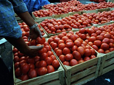 La cátsup será más cara: agricultores advierten que el arancel al jitomate impactará en precios