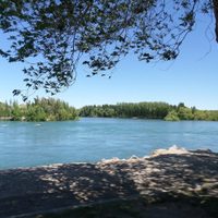 Gran preocupación: Marilyn salió a caminar al río con su perro y nunca regresó