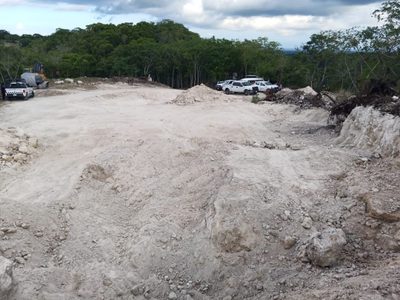 Colectivos de búsqueda de desaparecidos hallan dos osamentas en Veracruz
