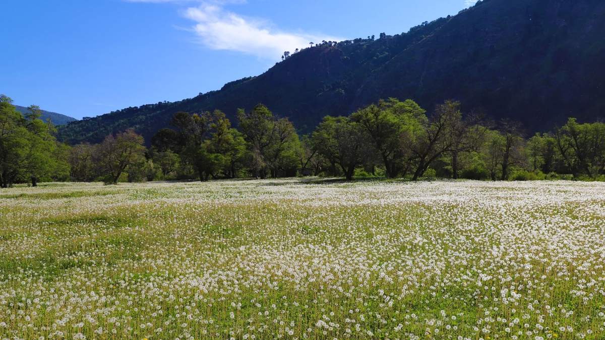 Siguen los días de primavera en la cordillera. Fuente: (Facebook)