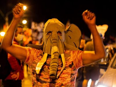 Elefantes autoconvocados de Salud dejaron en claro que no apoyan a Rolando Figueroa