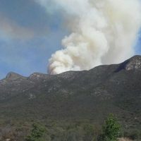 Sofocan incendio en Cañón de San Lorenzo, en Coahuila; la Profepa alista denuncia penal