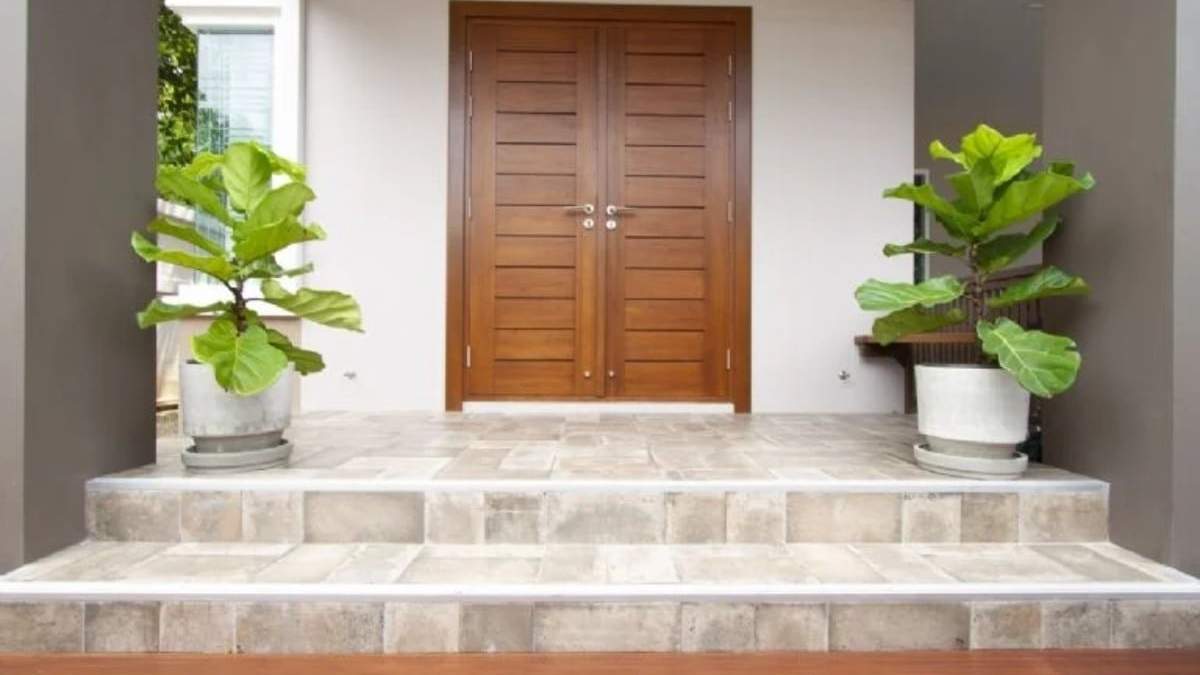 Plantas. Fuente: (Cocina Vital)