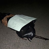 Hallan cadáver de funcionario de Petatlán, Guerrero; 'Viagras” se adjudican la ejecución