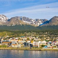 Increíble: falsas orcas encallaron en la costa de Ushuaia