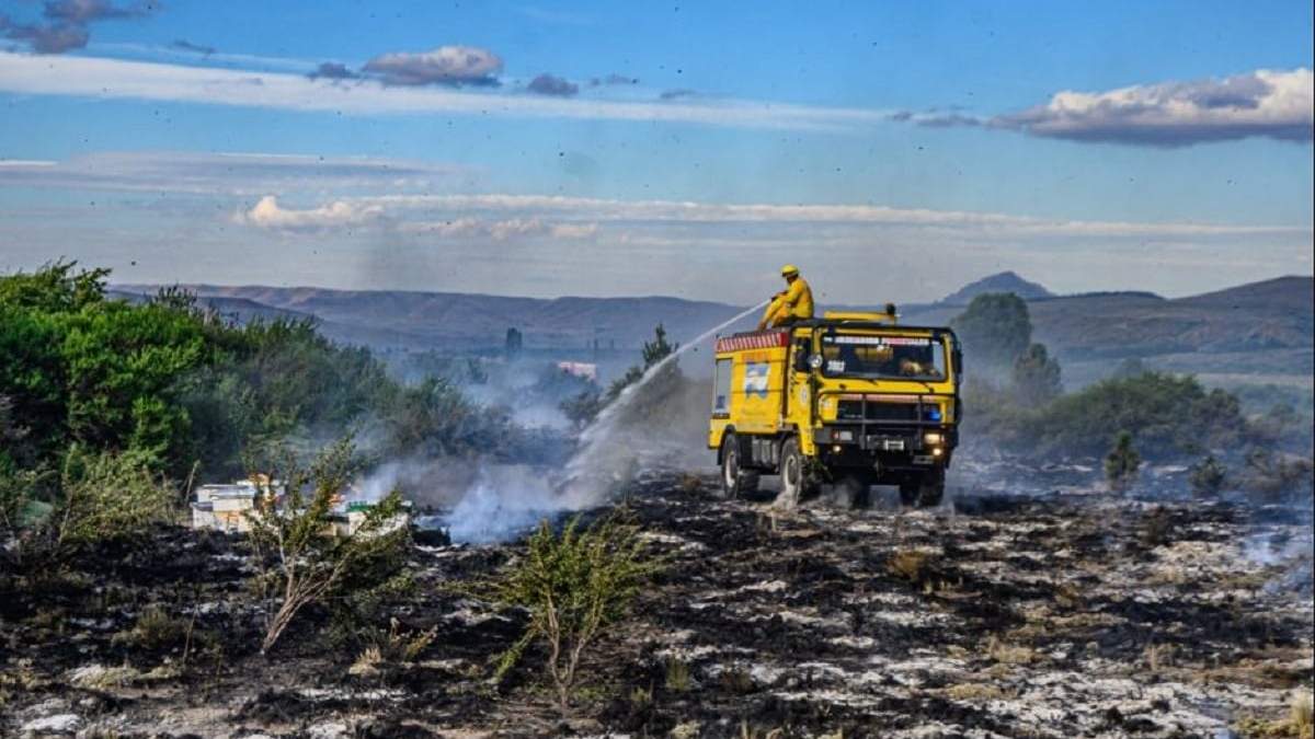 Denunciaron que en la actual temporada se desarrollaron 64 incendios, que afectaron a 553 hectáreas. Fuente: (RSM)