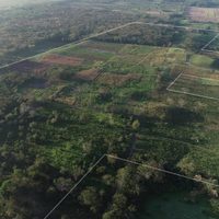 Gran hallazgo: descubrieron casi 500 sitios arqueológicos en México que podrían cambiarlo todo